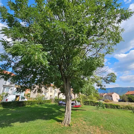 Hotel apartamentowy Divina *