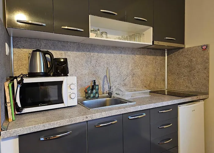 Aparthotel Divina Borov Dol